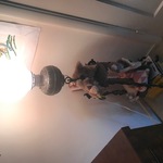 Img 2700