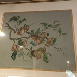 Img 3068