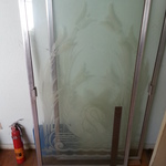 shower door