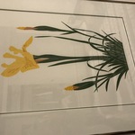 Img 3963