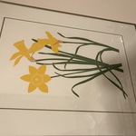 Img 3965