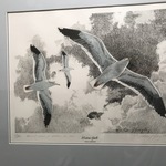 Img 3994