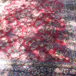 early rug