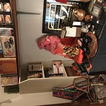 Img 6671