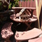 redwood bench set