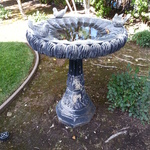 bird bath