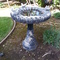 bird bath