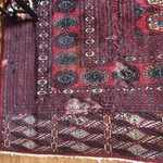 Img 7758