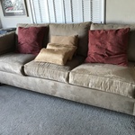 Img 9856