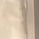 Img 0527
