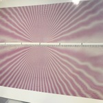 Img 0559