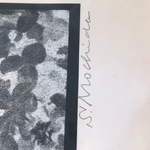 Img 0579