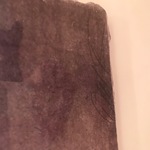 Img 0596