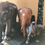 Img 0774