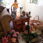 cats