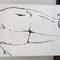 Img 2673