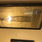 Img 3554