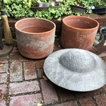 Img 4989