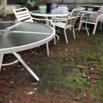 Img 4991