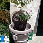 large pots