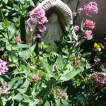 Virgin Mary
