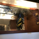 Img 5337