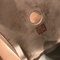 Img 7735