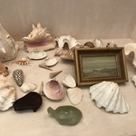 Img 7785