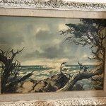 Img 7833