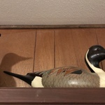 Img 9771