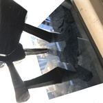 Img 2365