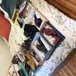 Img 2482
