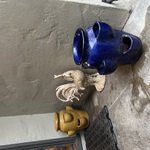 Mecu5902