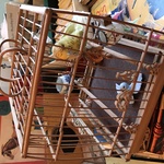 Img 7355 (1)