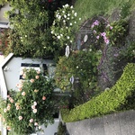 Img 7363 (1)