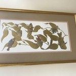 Img 7417 (1)