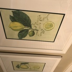 Img 7462 (1)
