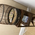 Img 7574