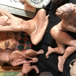 Img 0738