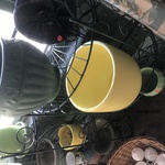 Img 1534