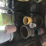 Img 1535