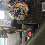Img 1684