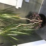 Img 4688