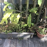 Img 6563