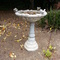 beautiful bird bath