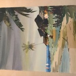 Img 7248