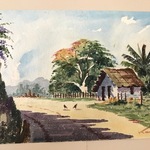 Img 7262