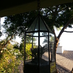 vintage terrarium