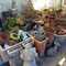 garden pots & statuary