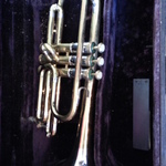 trumpet